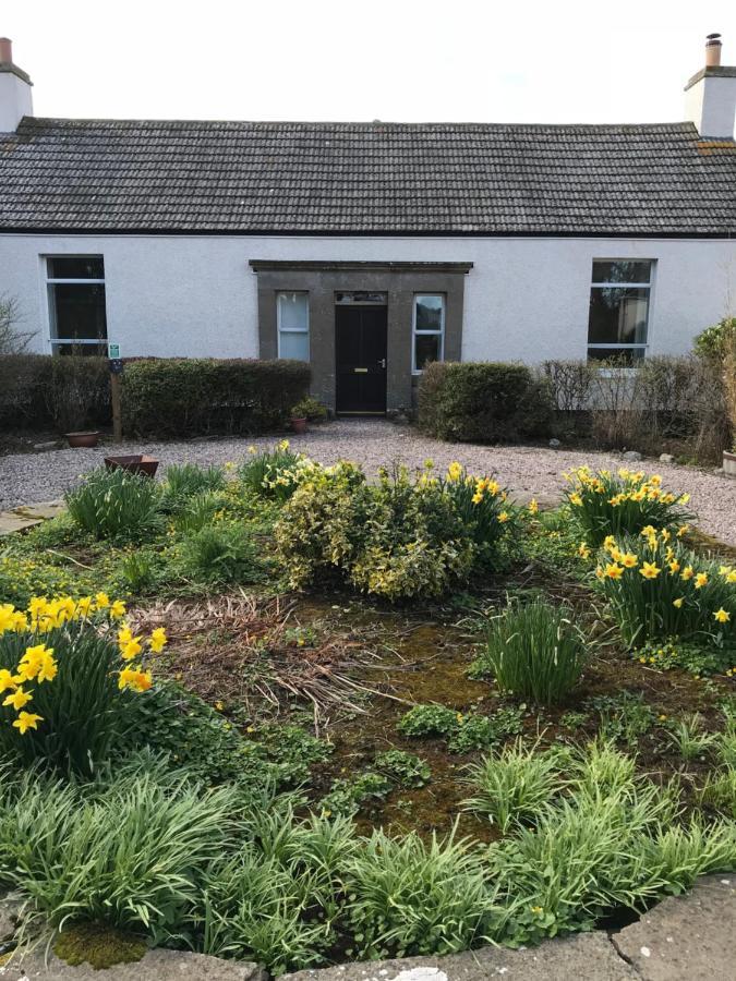 Thurdistoft Farmhouse, Dunnetbay Accommodation Thurso Dış mekan fotoğraf